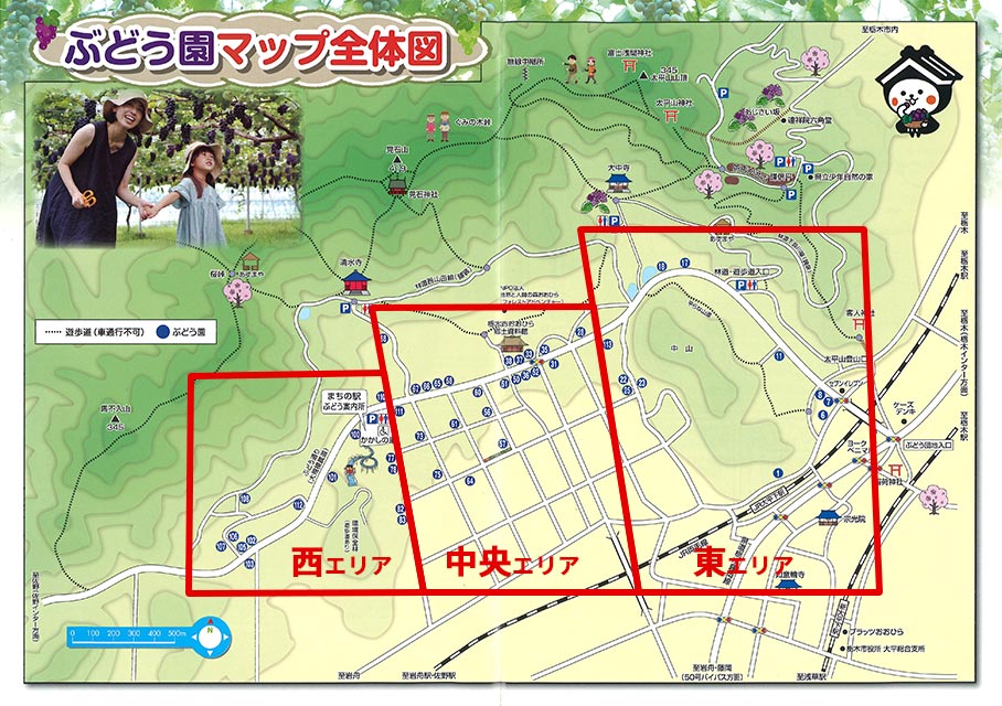 大平山ぶどう団地