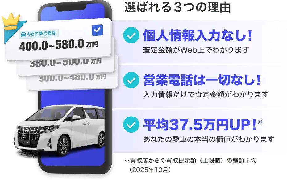 マイカースカウト公式