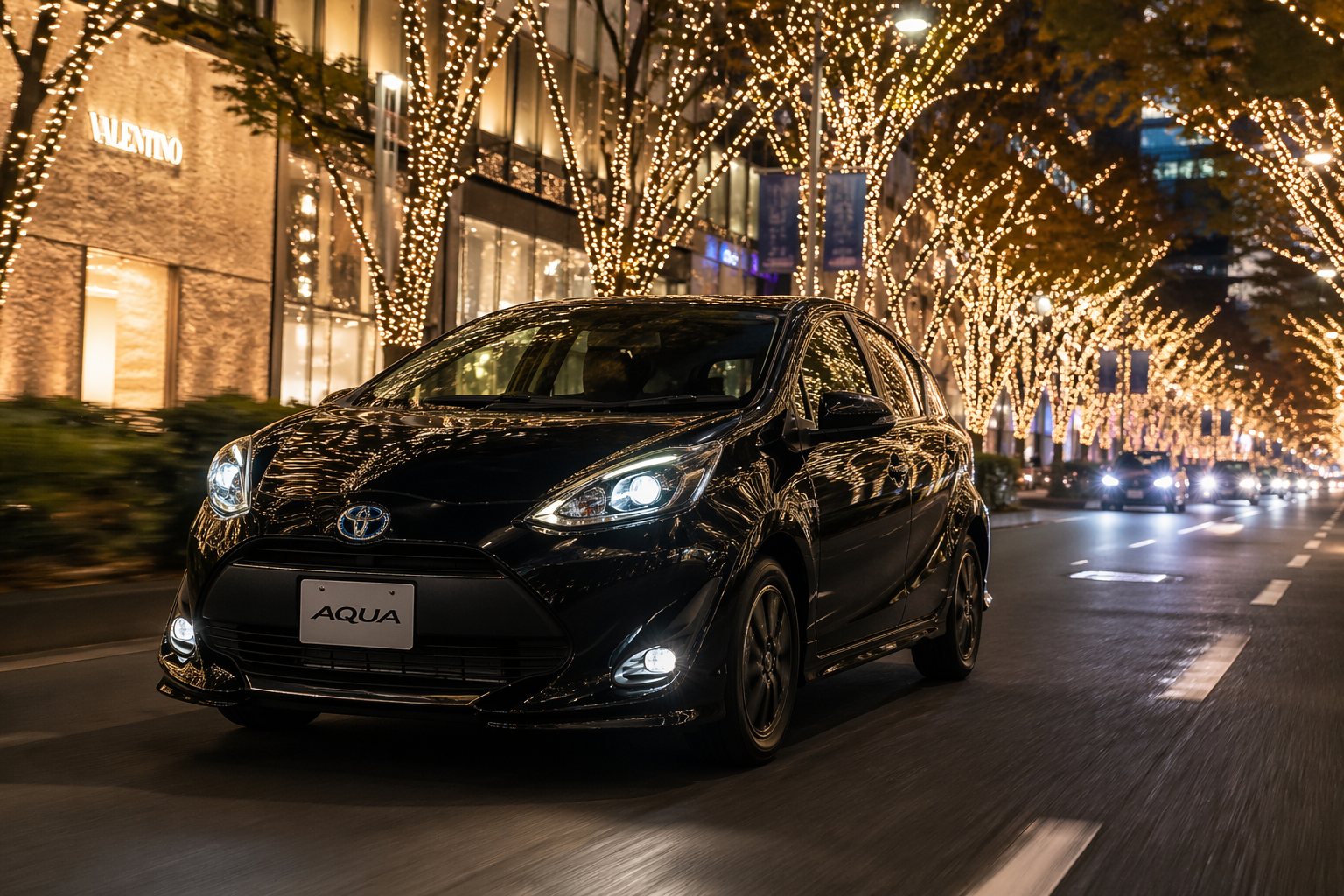 アクアバッテリー費用ー８